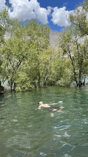 Swimming in a tree lined lake