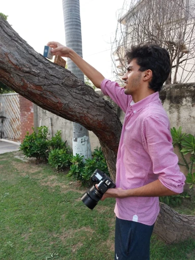 Taking a photograph outdoors